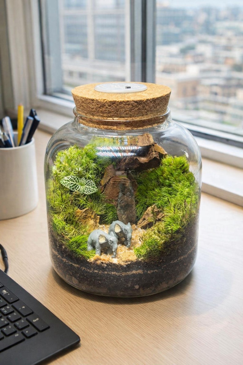 Window Terrarium Handmade Glass Terrarium With Live Moss & Lighted Cork Lid - Etsy