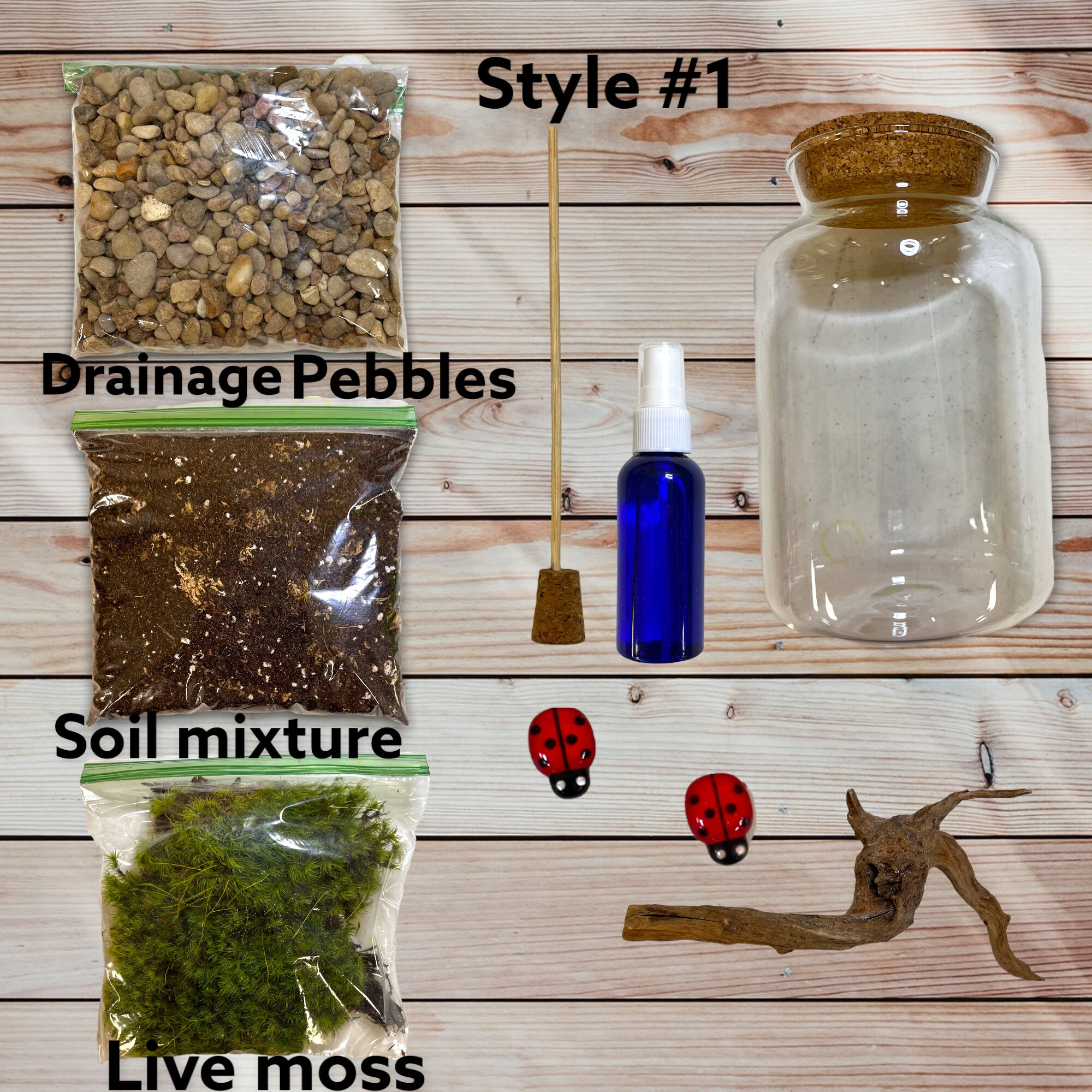 DIY Terrarium Kit live Plants and Moss sealed Terrarium Kit Etsy
