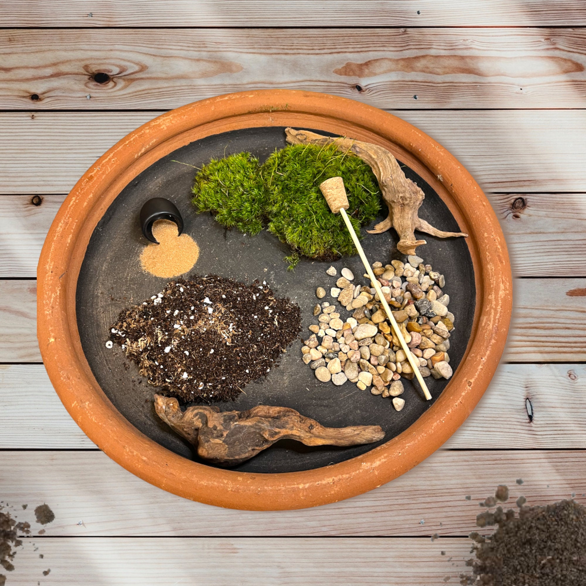 DIY Terrarium Kit live Plants and Moss sealed Terrarium Kit Etsy