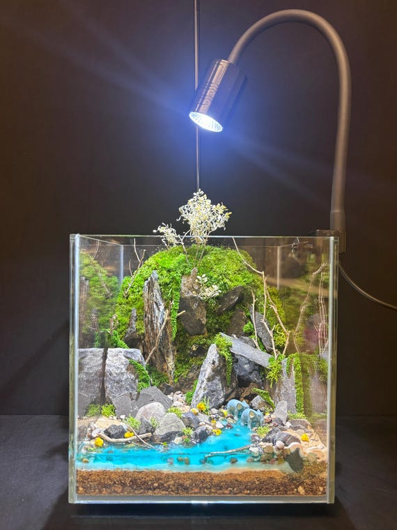 LED Full Spectrum Plant Light Aquarium Light Terrarium Light Plant Growth Light 3W Christmas Gift Ideas Etsy Canada