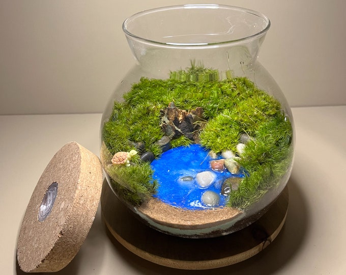 6" LED glass globe terrarium | Fairy Garden Decor | Plant Lover Gift | Mothers day Gift | Indoor Terrarium | Lighted Plant Display | Globe