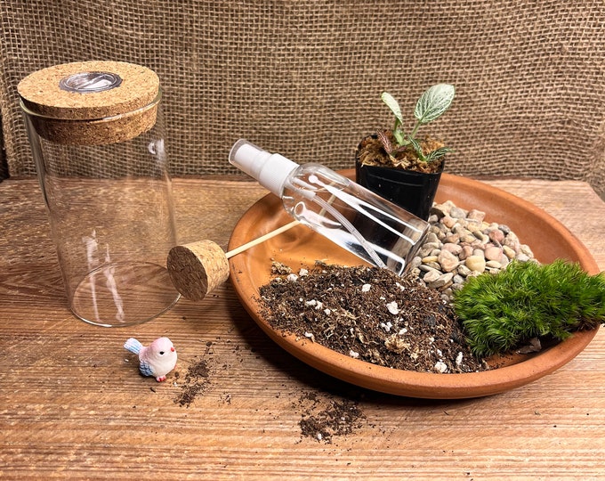 4" terrarium kit | 4" Glass Globe | Nature Gift | Indoor Plant Gift | Nature Decor Gift | mother's day Gift | 4" Glass Jar Terrarium | Jar