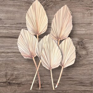 Dried preserved Large natural palm, dried flower design, DIY dried palm wedding bouquet, DIY craft project home wedding party decor set of 2