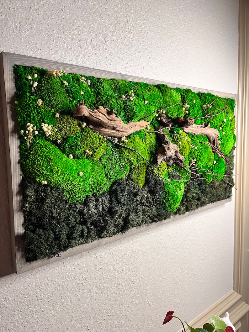 16x32 Preserved Moss Wall Artmoss Wall Art Framedpreserved Moss Decor