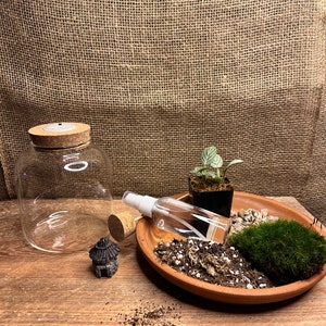 Terrarium Kit Etsy