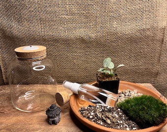 Terrarium starter kit | DIY terrarium kit |Glass Terrarium Set | Green Thumb Gift |Mothers day Gift | Plant Lover Gift | Glass Terrarium set