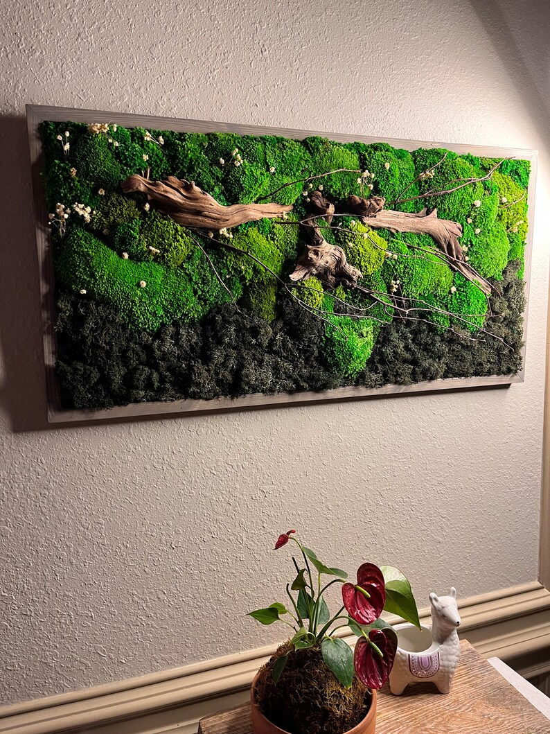 16x32 Preserved Moss Wall Artmoss Wall Art Framedpreserved Moss Decor