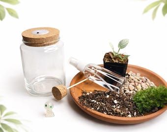 DIY LED Terrarium Kit for Beginners – 5” Glass Jar Moss Terrarium Kit – Indoor Garden Craft Kit – Plant Gift for Kids & Adults