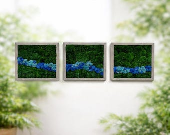 Set van 3 vierkante muurkunst met geconserveerd mos | Botanisch decor van teruggewonnen houten lijst | Onderhoudsvrije biofiele plantenwand