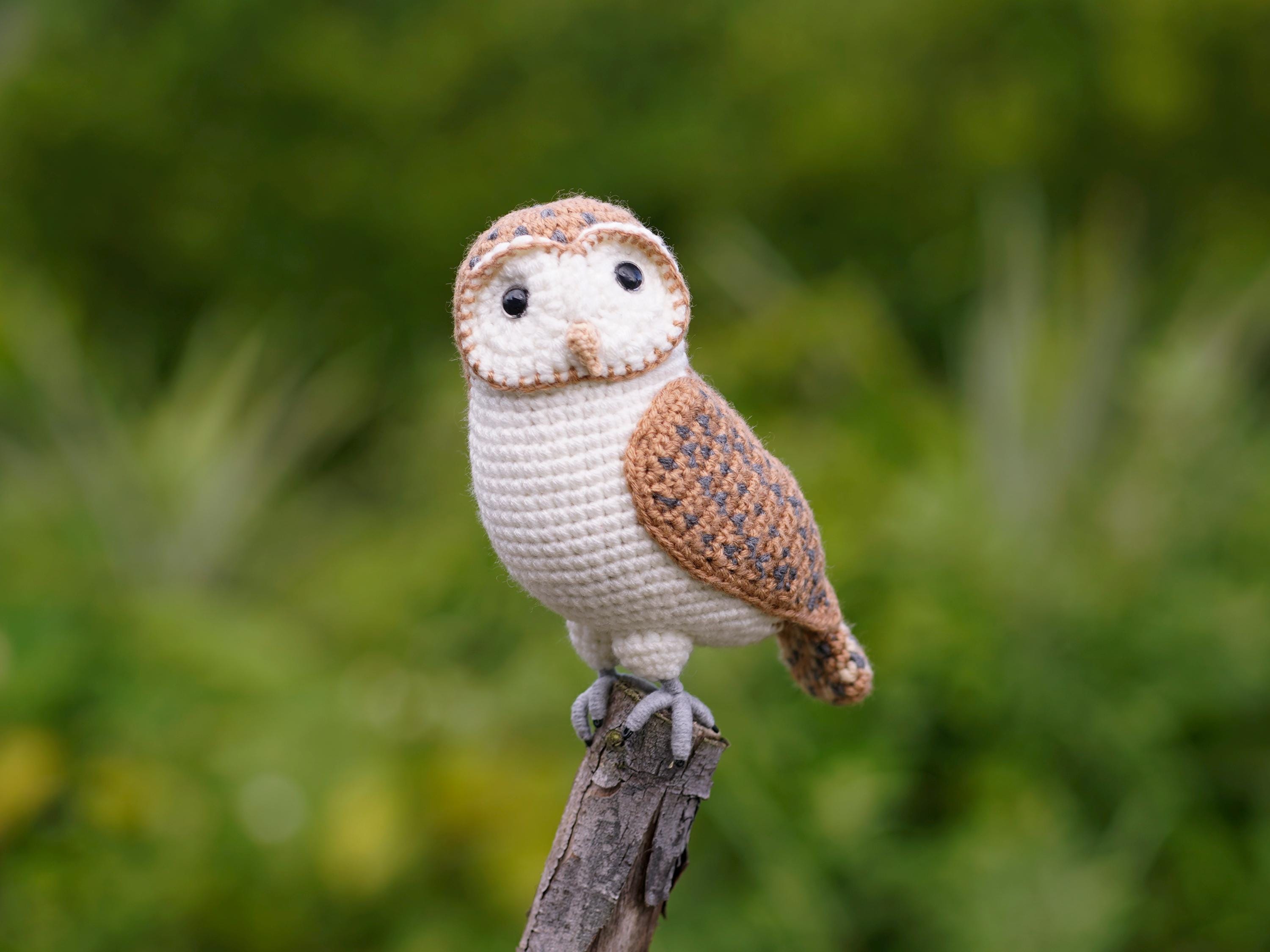 Crochet Barn Owl, Handmade Realistic Owl Plush, Woodland Animal Decor, Bird Lover Gift, Amigurumi Ow