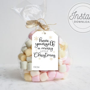 Have Yourself A Merry Little Weihnachtsmarke, Mini Tags Weihnachten, druckbare Weihnachtsmarken, Weihnachts Leckerei Tags, Urlaub Geschenkanhänger, DIY TAGS