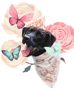 Digital download Pet Photo edit, can be used to make stickers and more! By LotsofLoveFromLaney Designed by LotsofLoveFromLaney Shop owned by Kira 7 years on Etsy