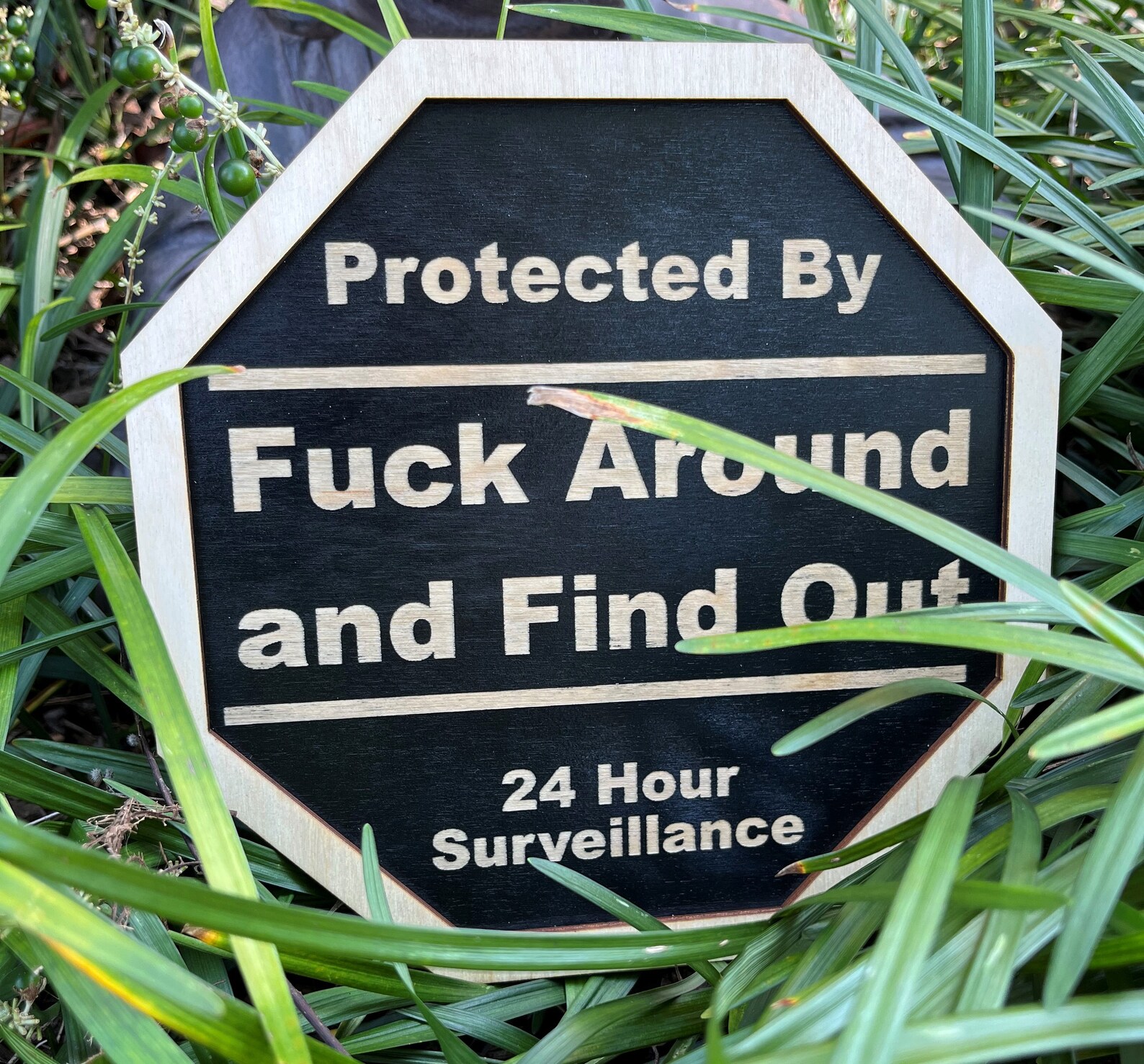 Fuck Around Find Out FAFO Warning Signs Surveillance 2nd Etsy