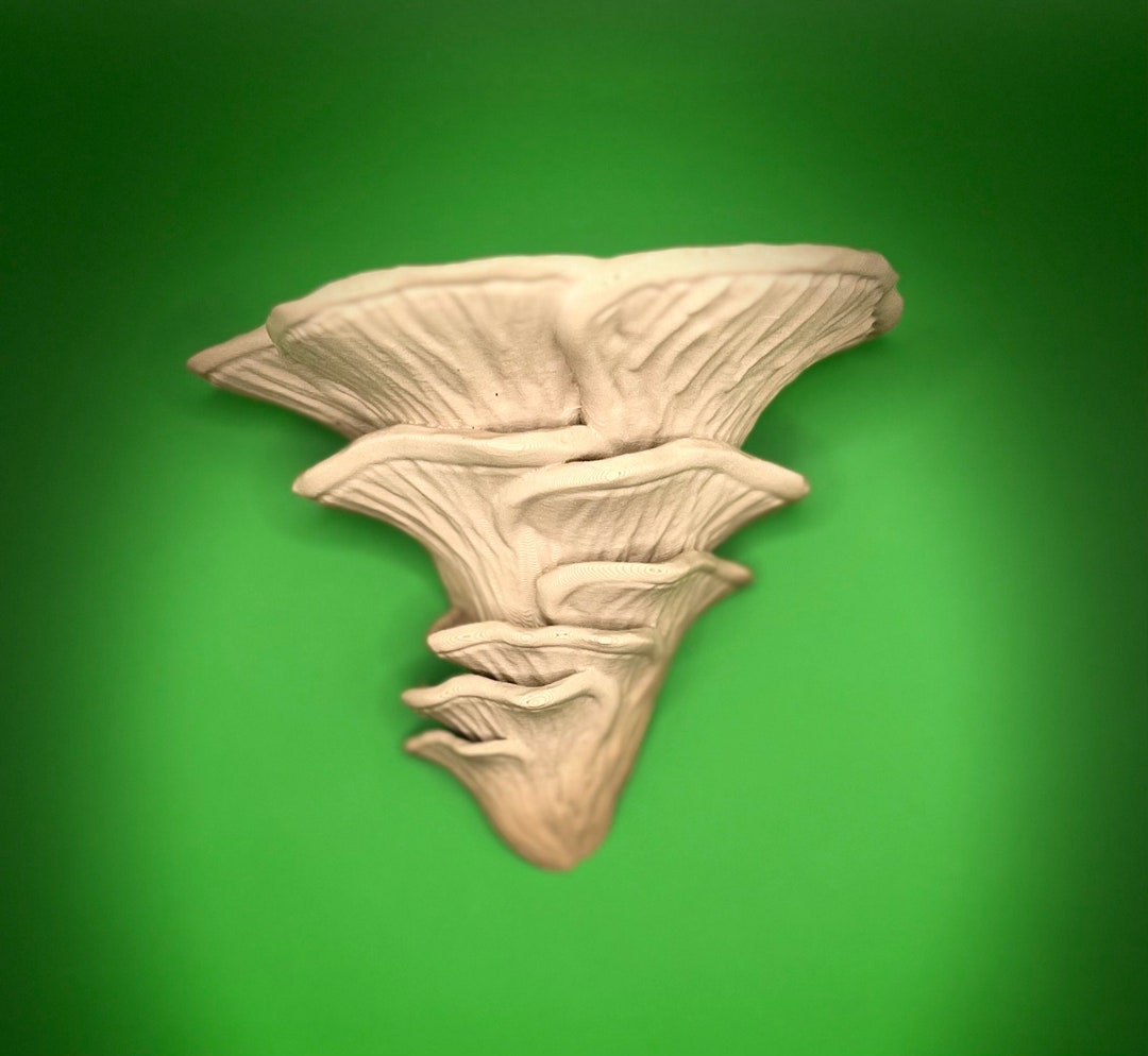 Mushroom Shelf Djamor Fungus Shelf Mushroom Decor Cottage Core Etsy