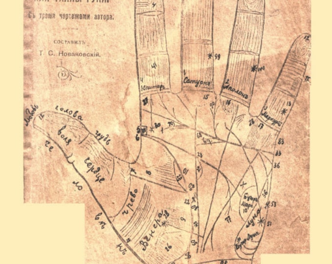 Карта для хироманта 6 букв ответ