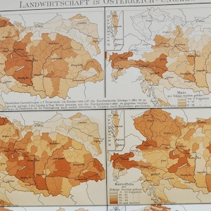 Landwirtschaft im österreichisch-ungarischen Reich - original antike Karte von 1902 (Land, Stadt, Provinz, Region, Österreich-Ungarn, Kartoffelwein)