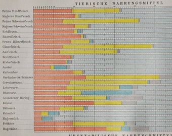 Food Chemical Composition - Original Antique Print - 1906 (nitrogen substance fat minerals water compounds animal plants alcoholic contents)