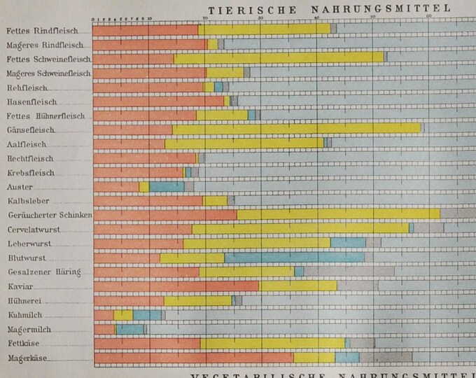 Food Chemical Composition - Original Antique Print - 1906 (nitrogen substance fat minerals water compounds animal plants alcoholic contents)