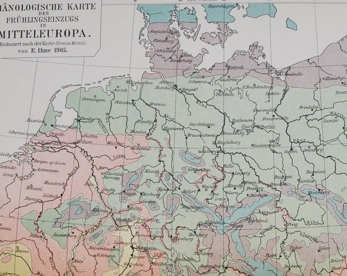Phenology Northern Europe - original antique map from 1902 (country, city, province, Germany, Finland, plants, botanical, season, flowers)