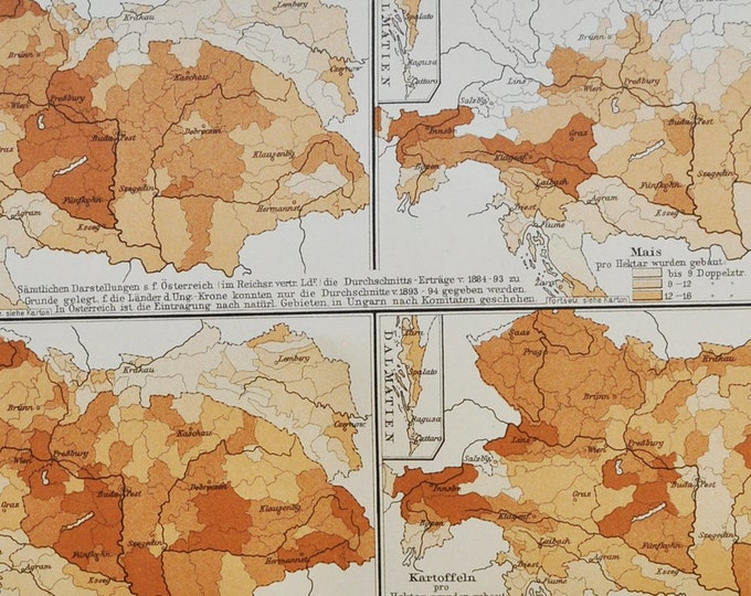 Agriculture in the Austro-Hungarian Empire - original antique map from 1902 (country, city, province, region, Austria-Hungary, potatos wine)