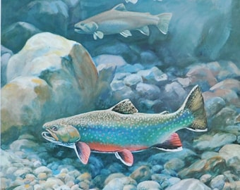 Brook Trout - Original Fish Print / Lithograph from the 1970's (sport fishing, fly fishing, boat, wildlife, tackle, salvelinus fontinalis)