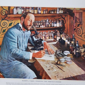 May include: A painting of a man in a blue shirt sitting at a desk with a microscope and a piece of paper. He is drawing on the paper. There are many bottles and jars on the shelves behind him. The painting is titled "Ramon y Cajal, Charting the Nervous System".