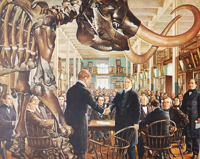 Founding of the American Medical Association Original Medical Print / Poster (history, medicine, university, pharmacy)