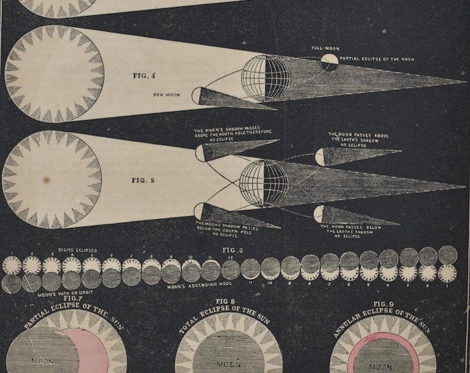 Eclipse of the Moon / Sun - original antique print 1853 (Smith's Illustrated Astronomy, universe stars planets galaxy sky nasa space apollo)