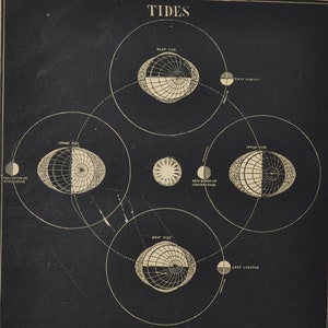 Maree - stampa antica originale 1853 (Smith's Illustrated Astronomy, universo stelle pianeta nasa spazio apollo quadratura primo quarto primavera ultimo)
