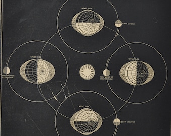 Tides - original antique print 1853 (Smith's Illustrated Astronomy, universe stars planet nasa space apollo neap first quarter spring last)