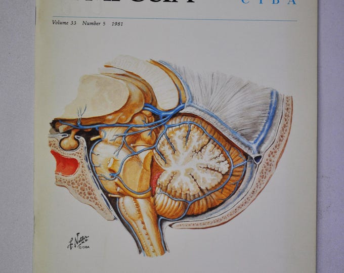 1981 Clinical Symposia booklet - subject: Blood Vessels of the Scalp and Brain (medical doctor medicine hospital pharmacy)