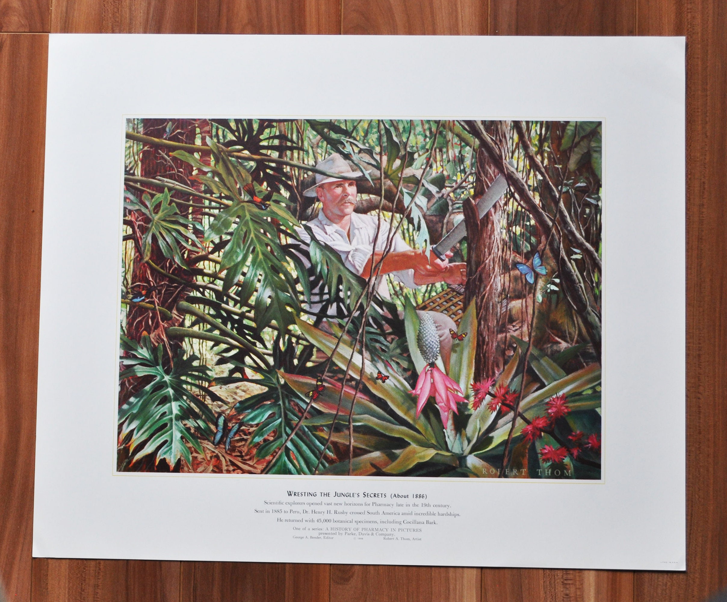 gallery photo