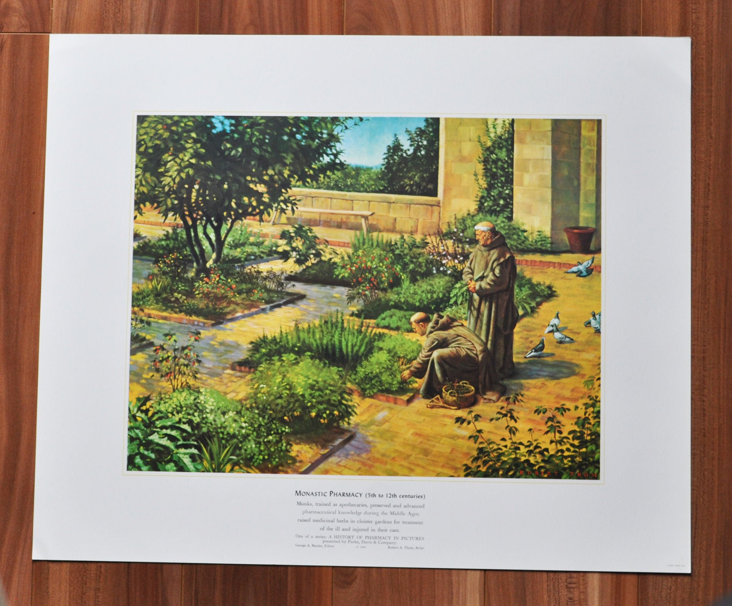 gallery photo