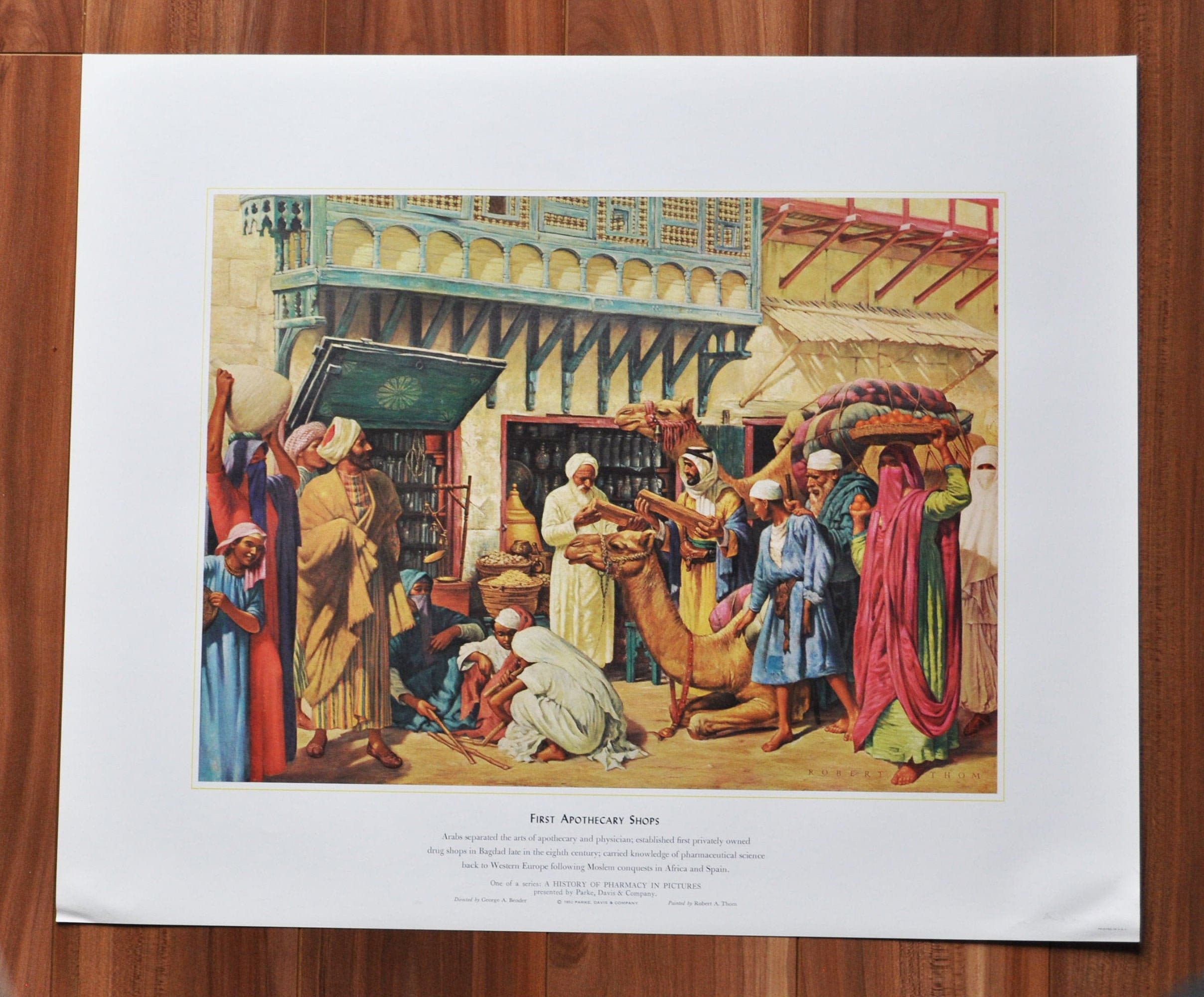 gallery photo