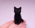 Tiny Needle Felted Black Cat Miniature Cat product logo