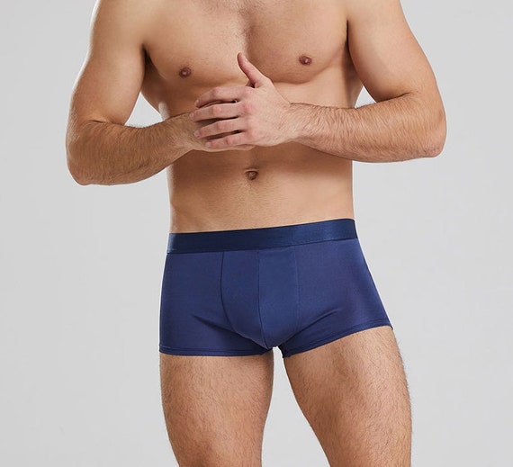 MESHIKAIER Men's Silk Boxer Shorts Elastic Briefs Underwear Breathable and  Healthy, blue : : Fashion