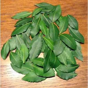 May include: A pile of fresh green bay leaves, a common herb used in cooking.