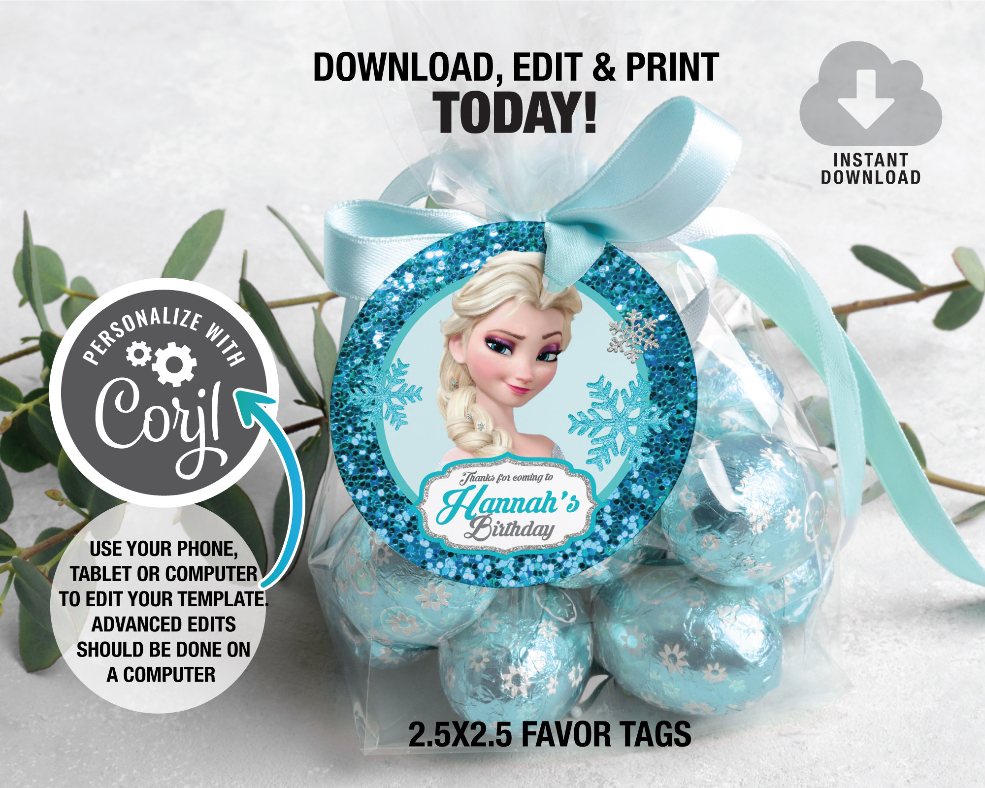 Frozen Birthday Favor Tags Frozen Round Favor Tag Elsa Favor Tags Template Instant Download Winter Birthday Party Decor DIY