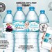 Frozen Water Bottle Label, Printable Winter Water Bottle Label, Elsa ...