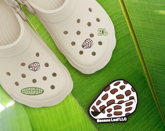 Cone Shell , Sea Shell Shoe Charm, Guam, CNMI, Islander Accessories, Cute Shoe Accessories, Tropical, Original Banana Leaf Shoe Charm