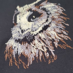 Peut inclure: Gros plan sur un motif de hibou brodé sur un tissu noir. L'œil du hibou est détaillé avec du fil blanc et brun, et les plumes sont rendues dans des nuances de brun et de blanc.