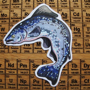 Cute salmon sticker