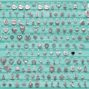 Puede incluir: Una colecci&oacute;n de dijes de metal plateado en varias formas, incluyendo corazones, llaves, coronas y letras, dispuestos en filas sobre un fondo verde azulado con una regla vertical en el lado derecho que muestra medidas en cent&iacute;metros.