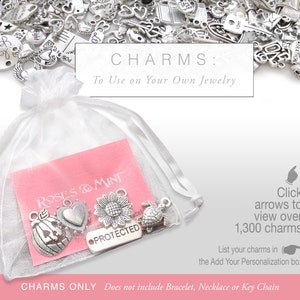 CHARMS, To Use on Your Own Jewelry or for Crafting (Bracelet, Necklace, Key Chain not included), Charm Library, Xtra