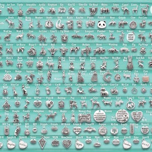 May include: A collection of silver-toned metal charms featuring various animal, pet, and family-themed designs arranged in rows on a light blue background, with a vertical orange ruler on the right side showing measurements in inches.