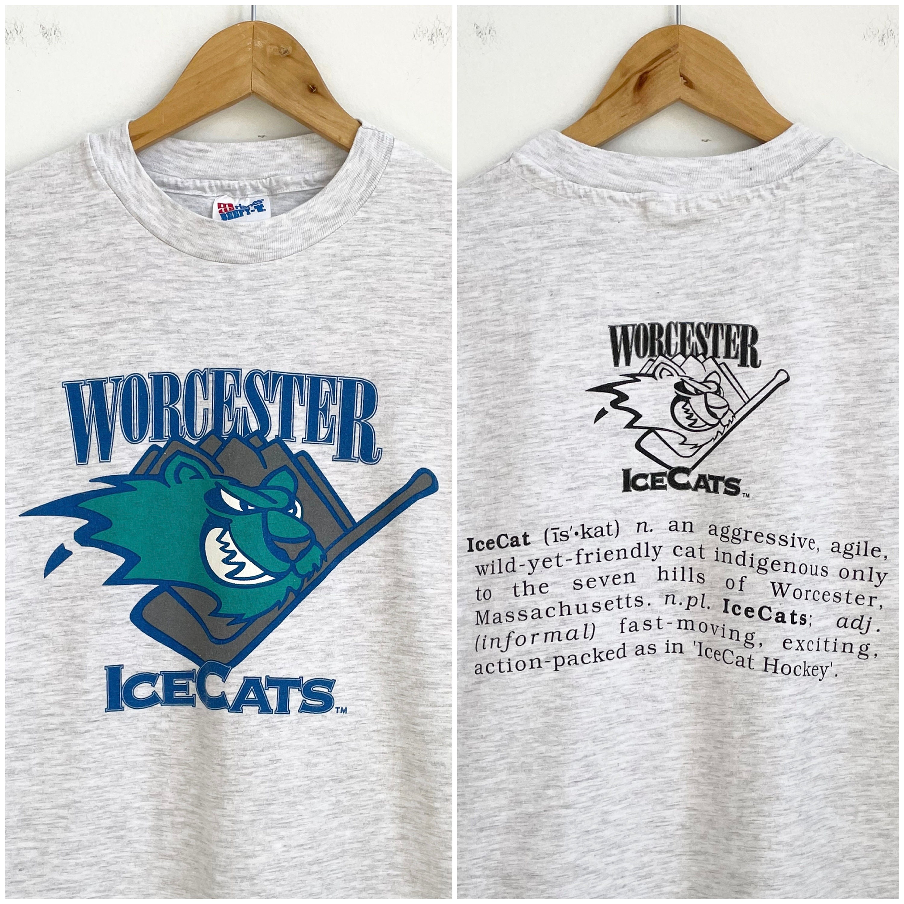 Worcester Ice Cats Blue Hockey Jersey