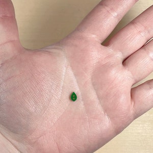 May include: A small green leaf-shaped button with two holes.