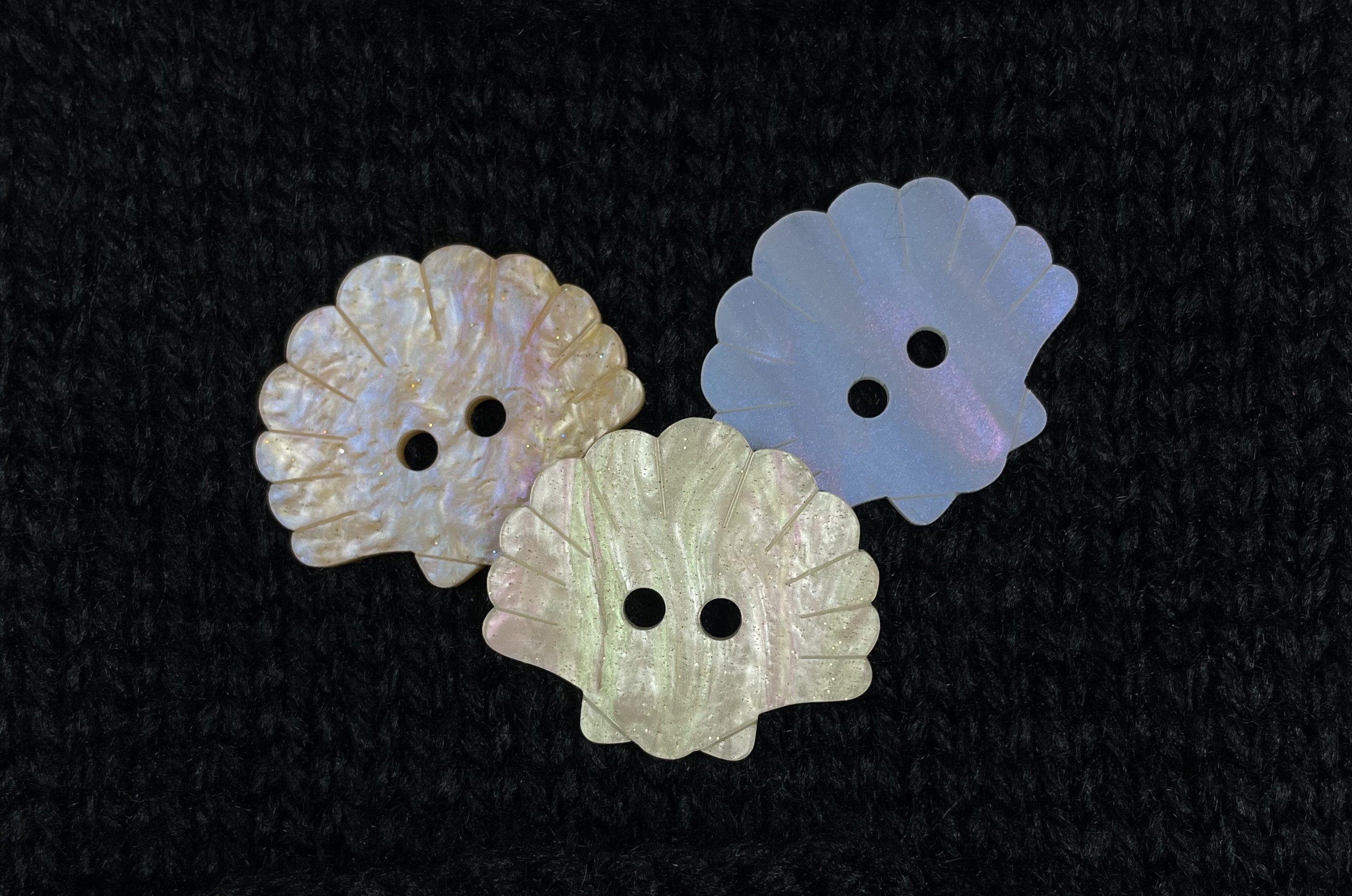 Extra Large Shell Button - Etsy