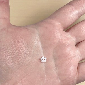 May include: A small white plastic flower button with five petals and two holes in the center.