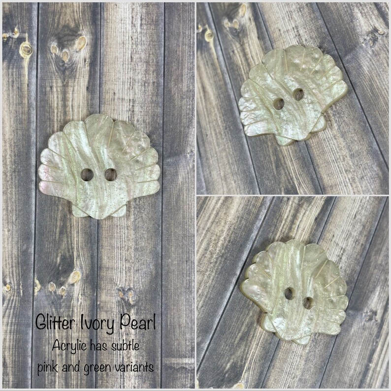 Large Shell Buttons Extra Large Shell Button - Etsy